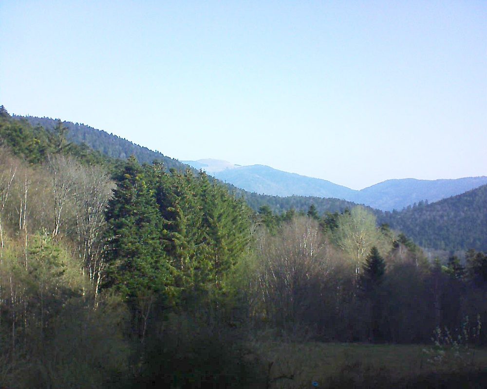 Le petit ballon vu depuis le Domaine Langmatt à Murbach le 02.04.2021 à 09:45 Le petit ballon (Alsace, Vosges) le 02.04.2021 à 09:45