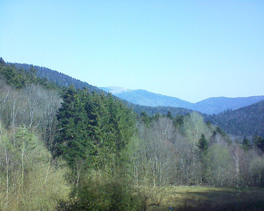 Le petit ballon vu depuis le Domaine Langmatt à Murbach le 02.04.2021 à 10:30 Le petit ballon (Alsace, Vosges) le 02.04.2021 à 10:30