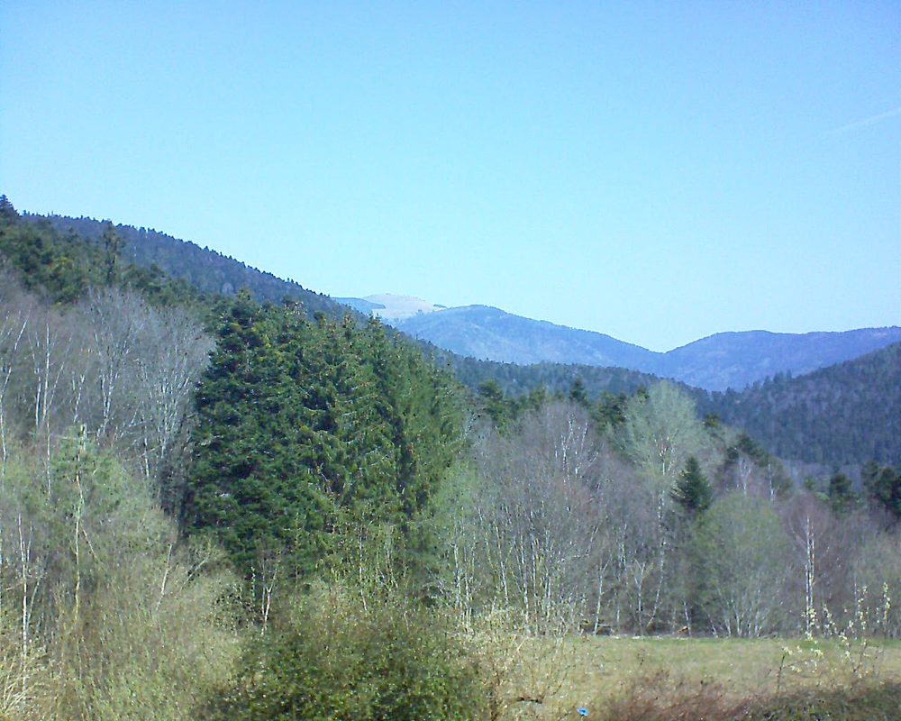 Le petit ballon vu depuis le Domaine Langmatt à Murbach le 02.04.2021 à 11:45 Le petit ballon (Alsace, Vosges) le 02.04.2021 à 11:45