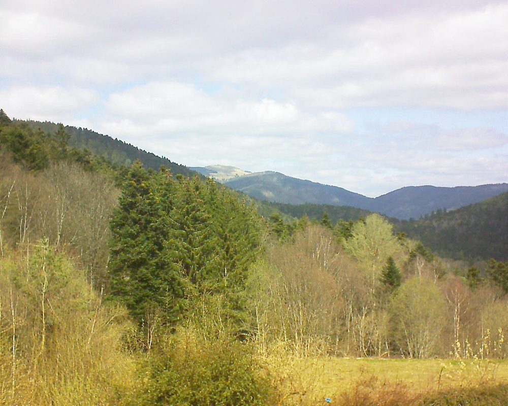 Le petit ballon vu depuis le Domaine Langmatt à Murbach le 03.04.2021 à 13:15 Le petit ballon (Alsace, Vosges) le 03.04.2021 à 13:15