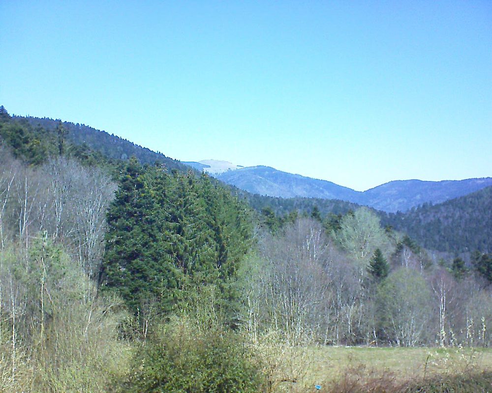 Le petit ballon vu depuis le Domaine Langmatt à Murbach le 04.04.2021 à 12:15 Le petit ballon (Alsace, Vosges) le 04.04.2021 à 12:15