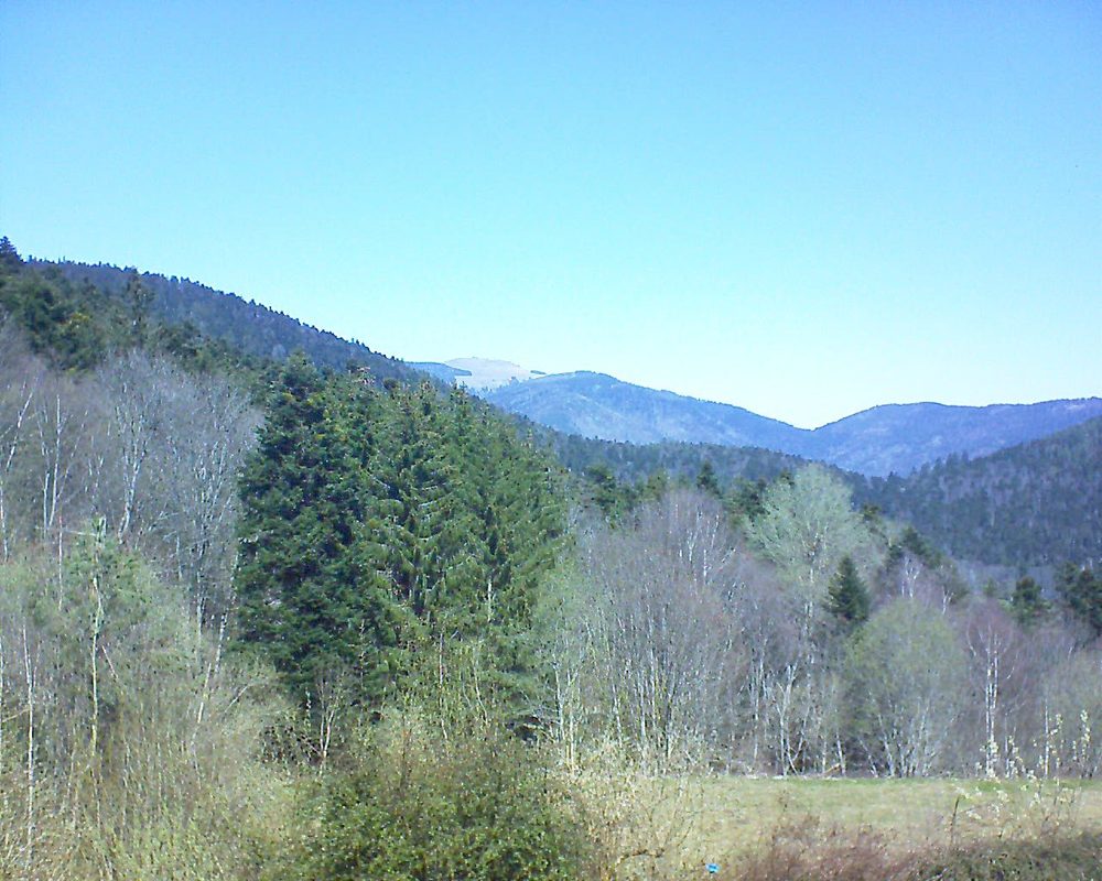 Le petit ballon vu depuis le Domaine Langmatt à Murbach le 04.04.2021 à 13:00 Le petit ballon (Alsace, Vosges) le 04.04.2021 à 13:00