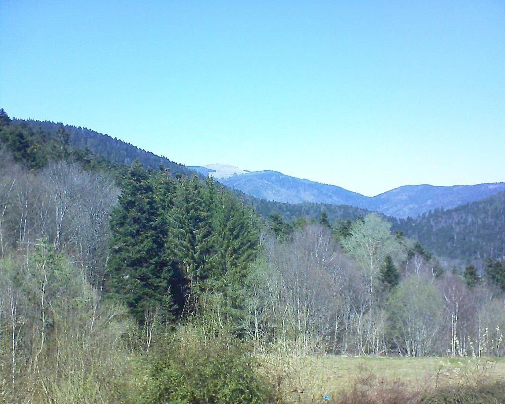 Le petit ballon vu depuis le Domaine Langmatt à Murbach le 04.04.2021 à 14:15 Le petit ballon (Alsace, Vosges) le 04.04.2021 à 14:15