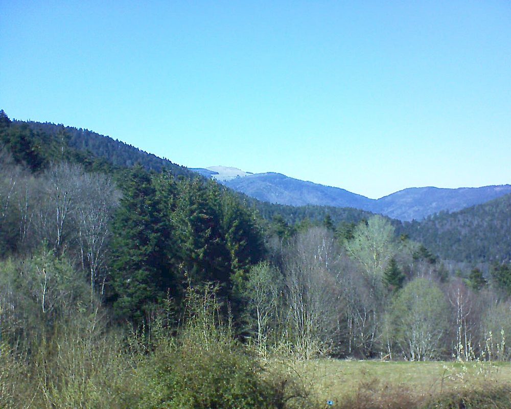 Le petit ballon vu depuis le Domaine Langmatt à Murbach le 04.04.2021 à 16:15 Le petit ballon (Alsace, Vosges) le 04.04.2021 à 16:15