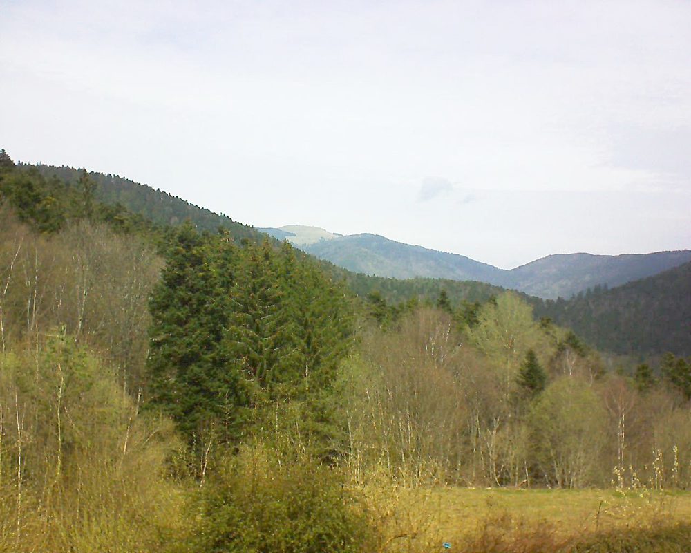 Le petit ballon vu depuis le Domaine Langmatt à Murbach le 05.04.2021 à 13:15 Le petit ballon (Alsace, Vosges) le 05.04.2021 à 13:15
