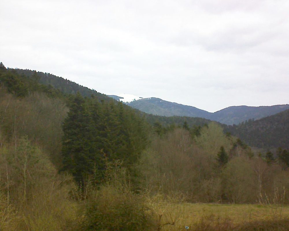 Le petit ballon vu depuis le Domaine Langmatt à Murbach le 08.04.2021 à 10:00 Le petit ballon (Alsace, Vosges) le 08.04.2021 à 10:00