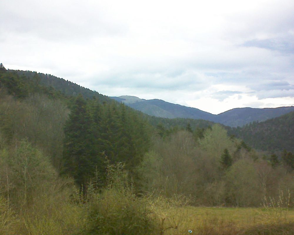 Le petit ballon vu depuis le Domaine Langmatt à Murbach le 10.04.2021 à 08:30 Le petit ballon (Alsace, Vosges) le 10.04.2021 à 08:30