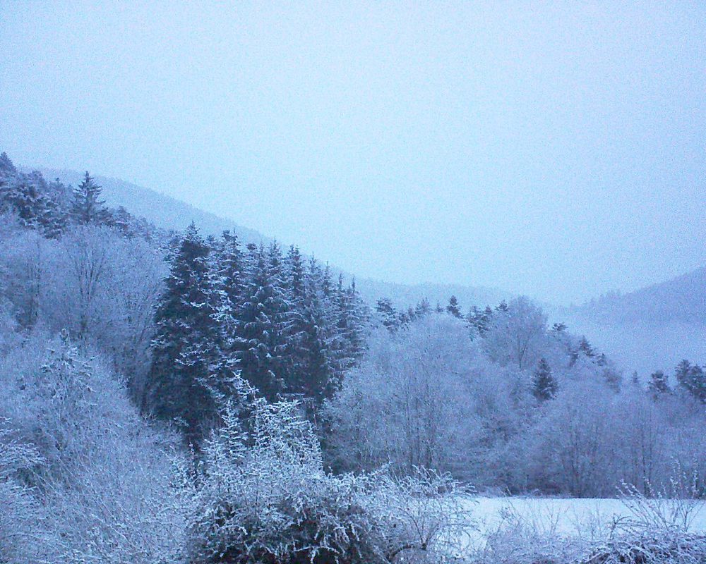 Le petit ballon (Alsace, Vosges) le 12.04.2021 à 06:45