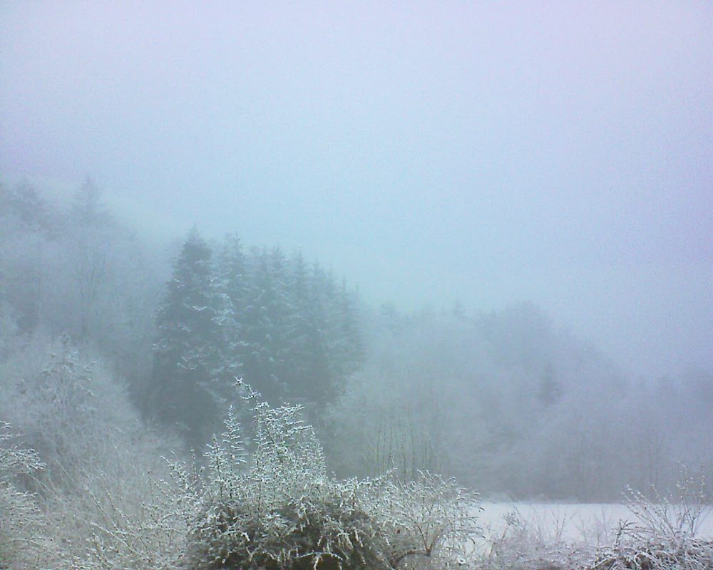 Le petit ballon (Alsace, Vosges) le 12.04.2021 à 07:30