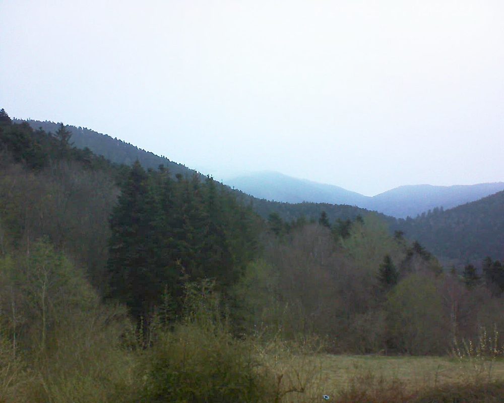 Le petit ballon (Alsace, Vosges) le 13.04.2021 à 07:15