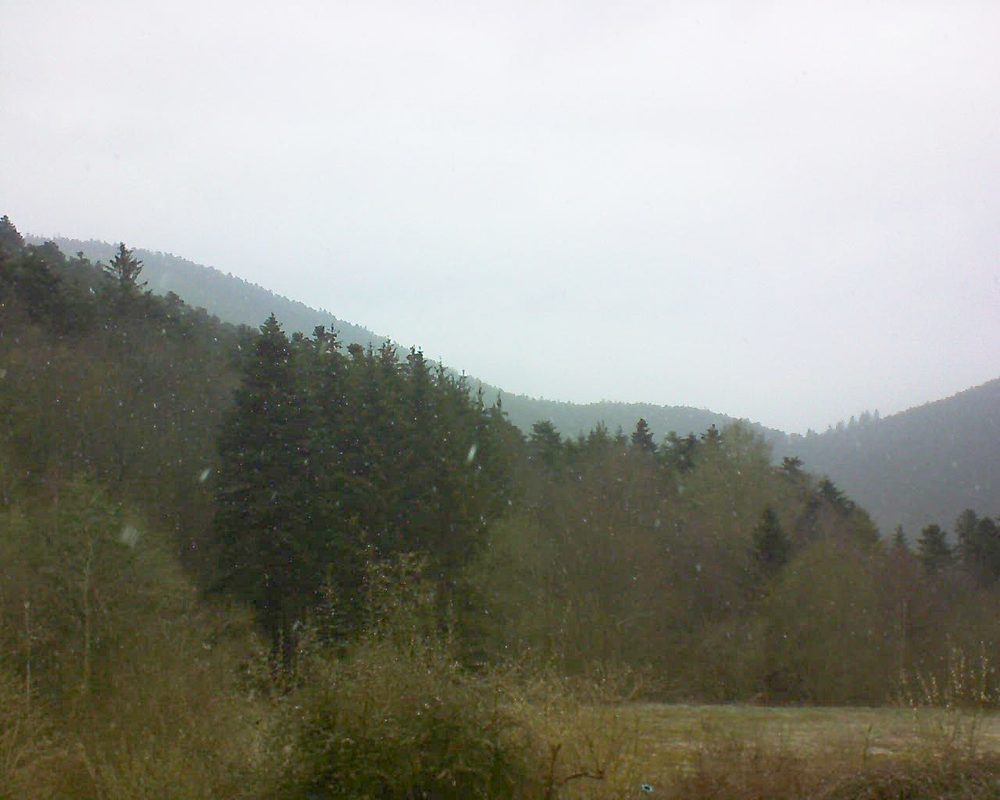 Le petit ballon (Alsace, Vosges) le 13.04.2021 à 08:30