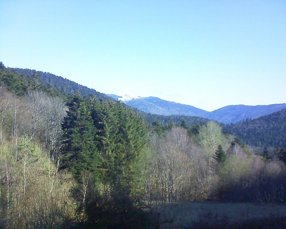 Le petit ballon vu depuis le Domaine Langmatt à Murbach le 14.04.2021 à 09:30 Le petit ballon (Alsace, Vosges) le 14.04.2021 à 09:30