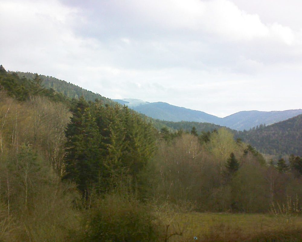 Le petit ballon (Alsace, Vosges) le 15.04.2021 à 09:00