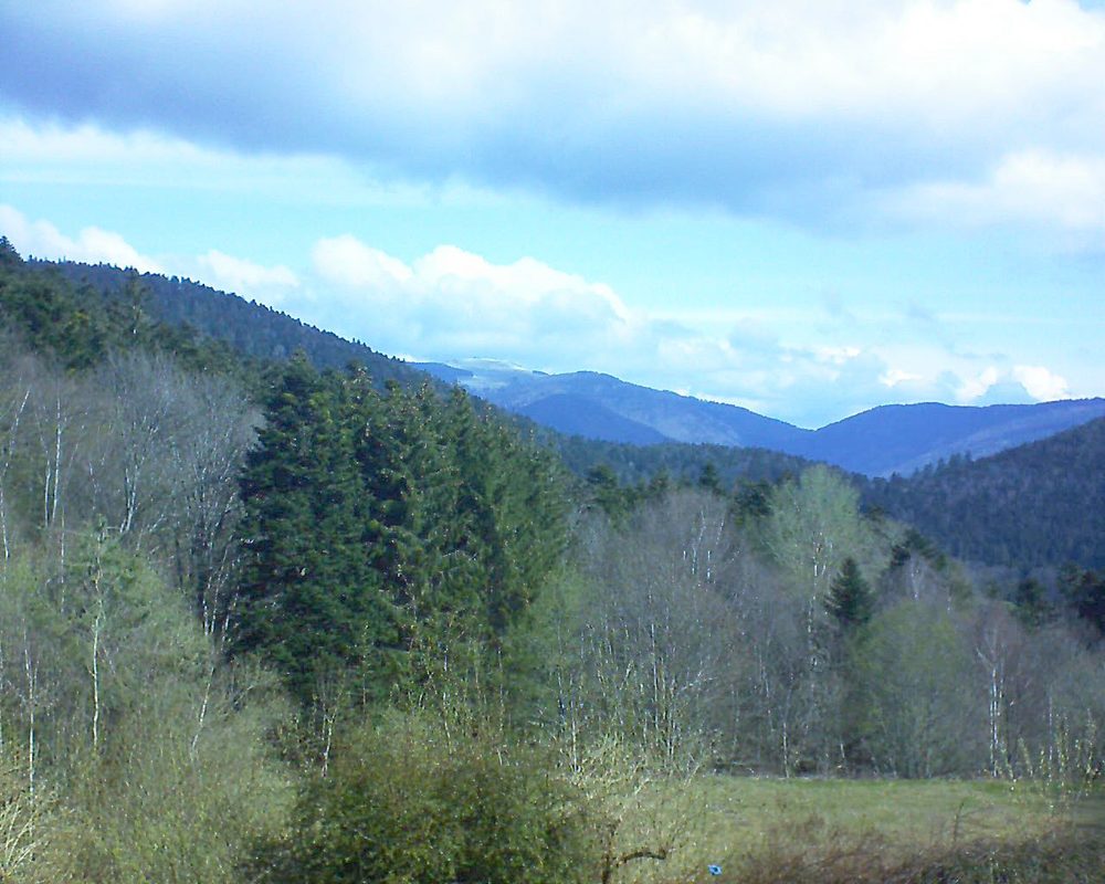 Le petit ballon vu depuis le Domaine Langmatt à Murbach le 16.04.2021 à 10:30 Le petit ballon (Alsace, Vosges) le 16.04.2021 à 10:30