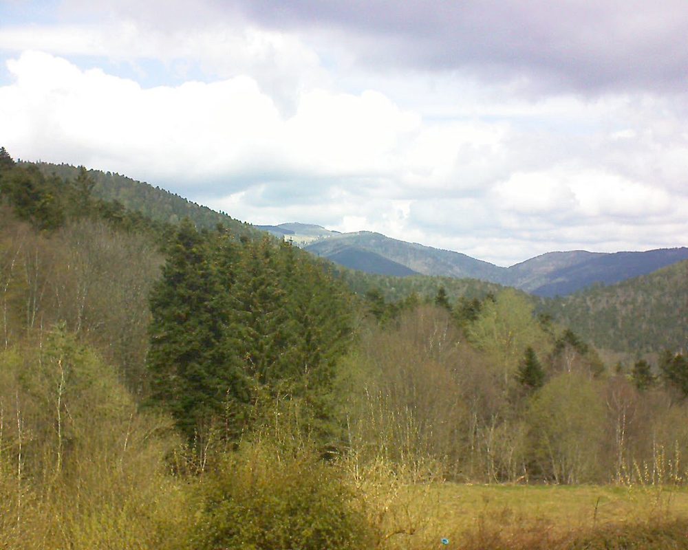 Le petit ballon vu depuis le Domaine Langmatt à Murbach le 16.04.2021 à 13:15 Le petit ballon (Alsace, Vosges) le 16.04.2021 à 13:15