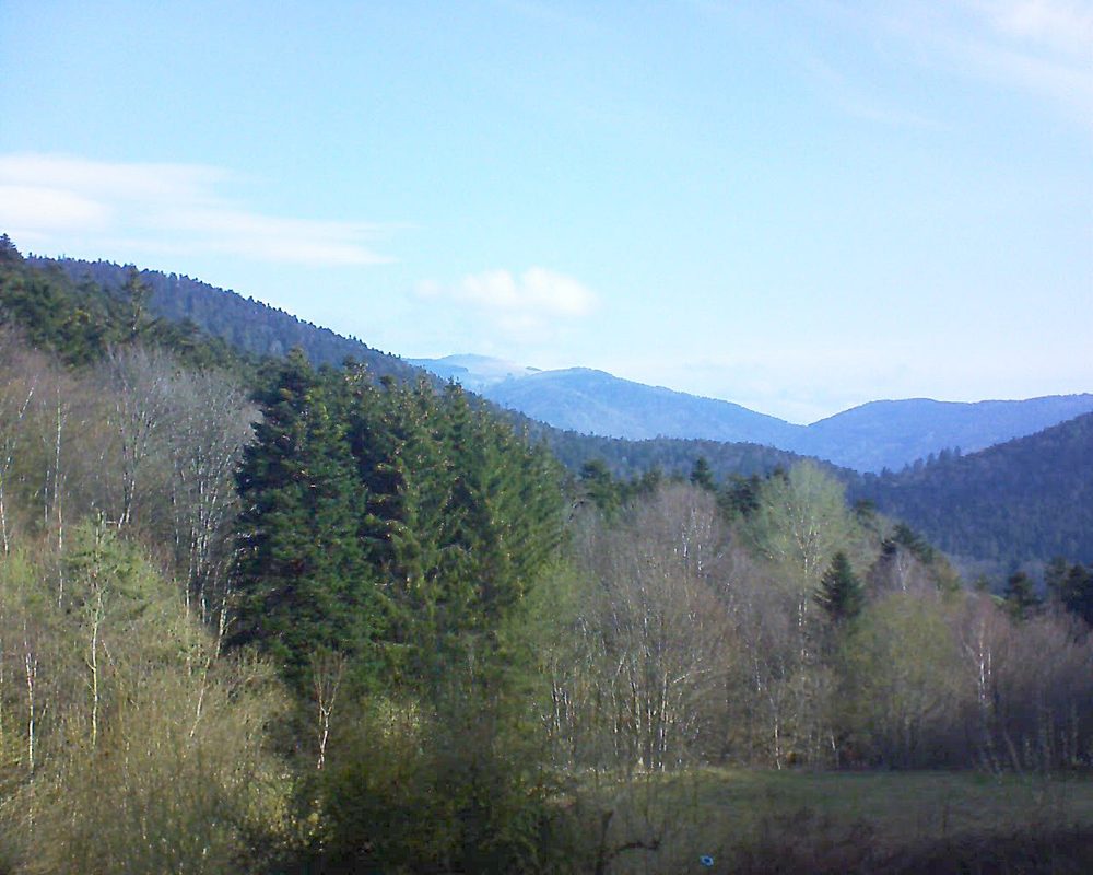 Le petit ballon vu depuis le Domaine Langmatt à Murbach le 17.04.2021 à 09:30 Le petit ballon (Alsace, Vosges) le 17.04.2021 à 09:30