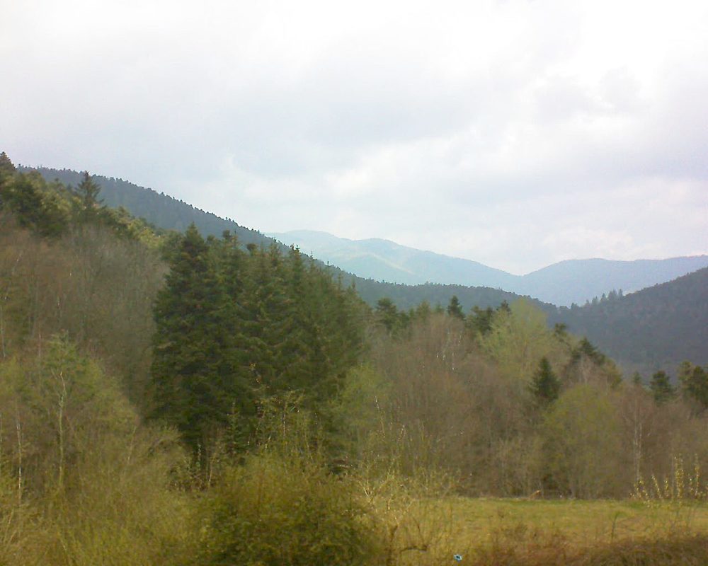 Le petit ballon vu depuis le Domaine Langmatt à Murbach le 20.04.2021 à 13:15 Le petit ballon (Alsace, Vosges) le 20.04.2021 à 13:15