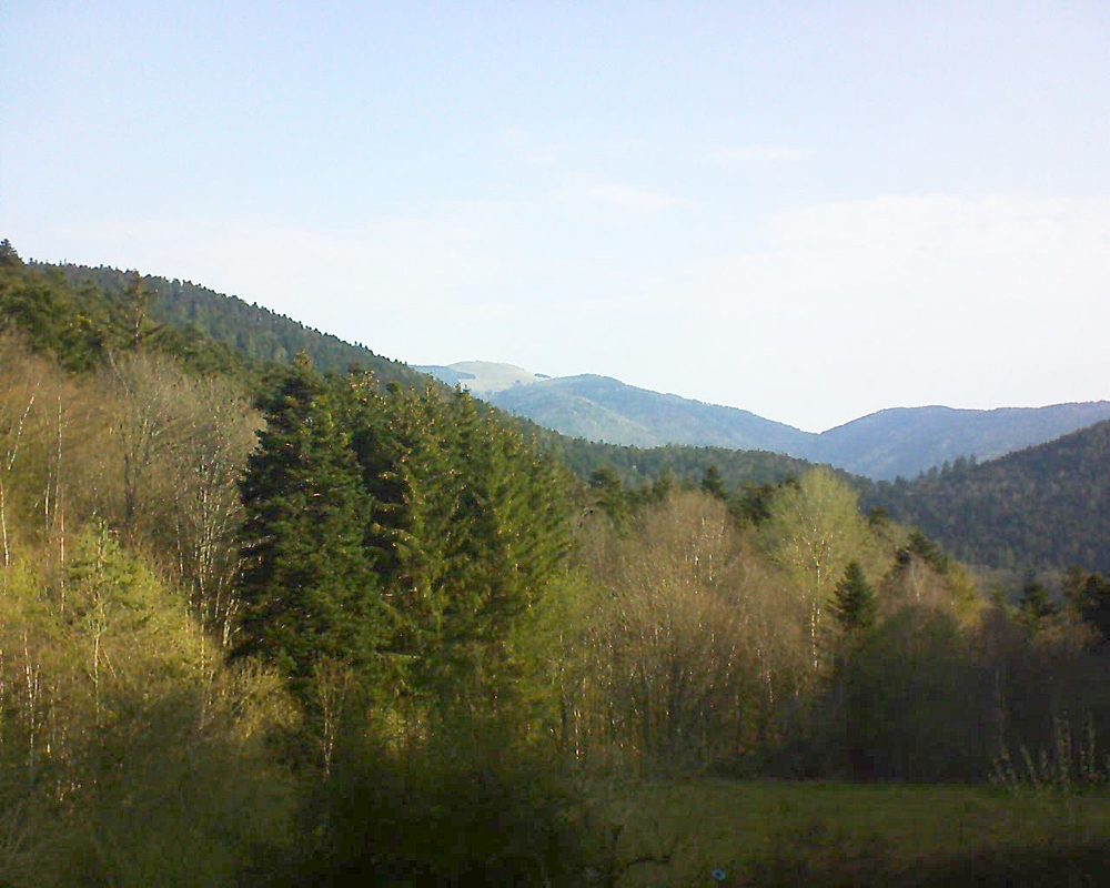 Le petit ballon (Alsace, Vosges) le 21.04.2021 à 09:00