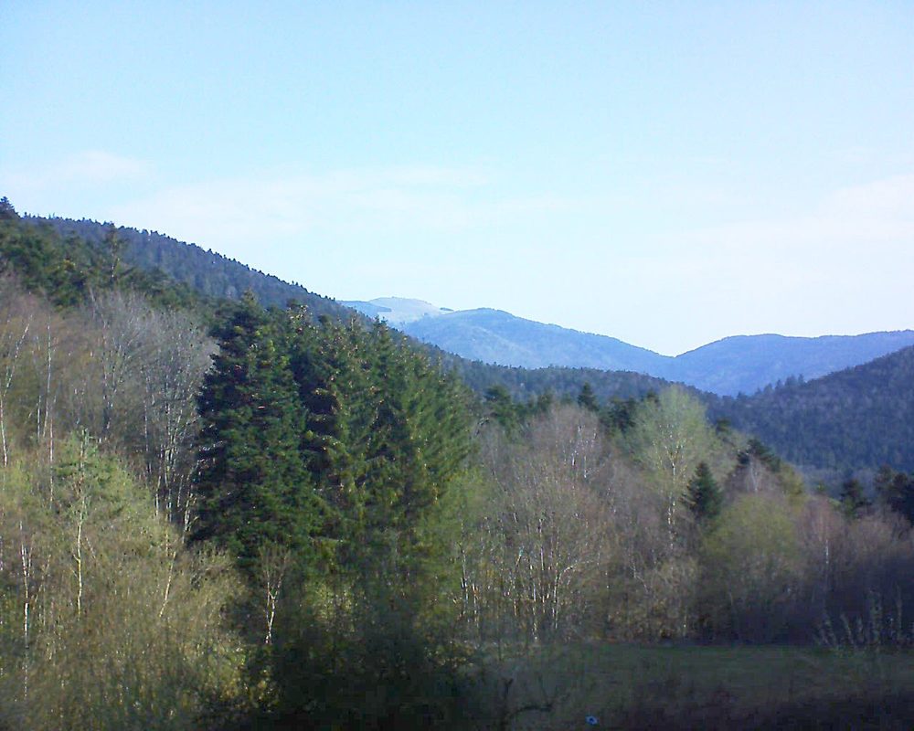 Le petit ballon vu depuis le Domaine Langmatt à Murbach le 21.04.2021 à 09:15 Le petit ballon (Alsace, Vosges) le 21.04.2021 à 09:15