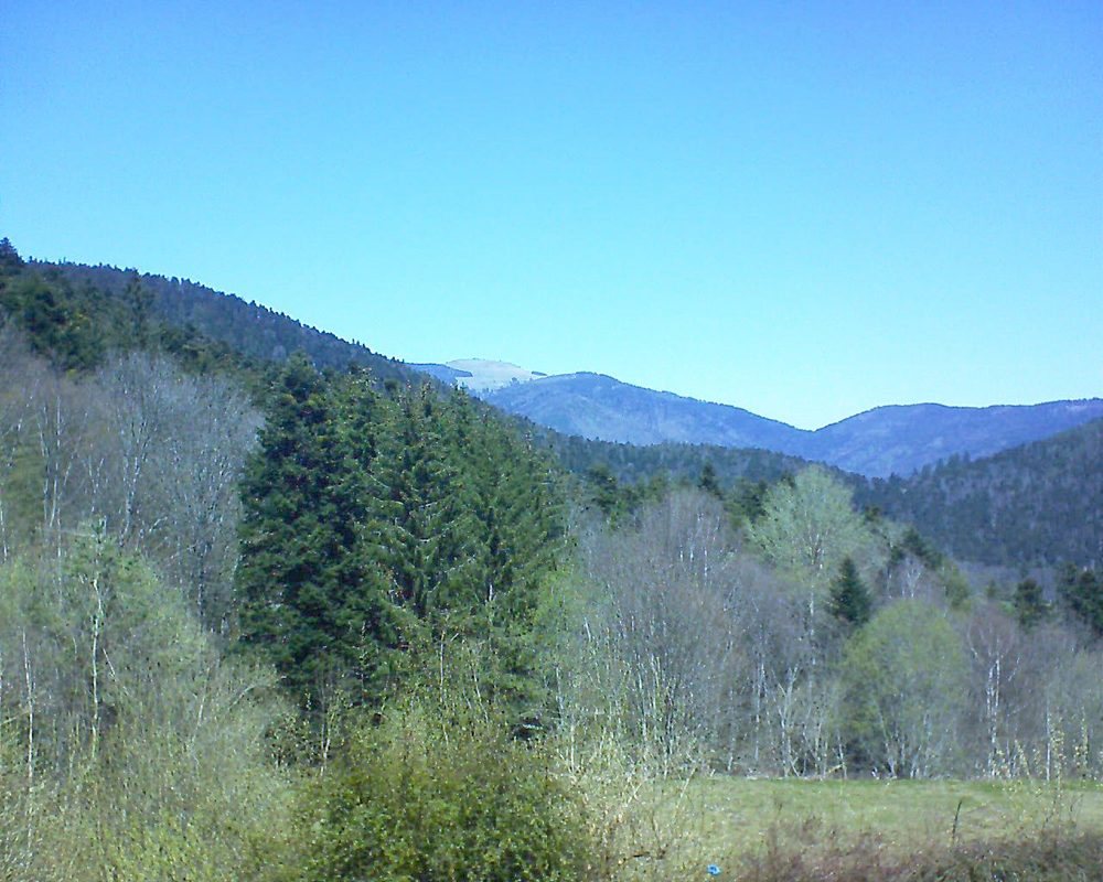 Le petit ballon vu depuis le Domaine Langmatt à Murbach le 23.04.2021 à 13:15 Le petit ballon (Alsace, Vosges) le 23.04.2021 à 13:15