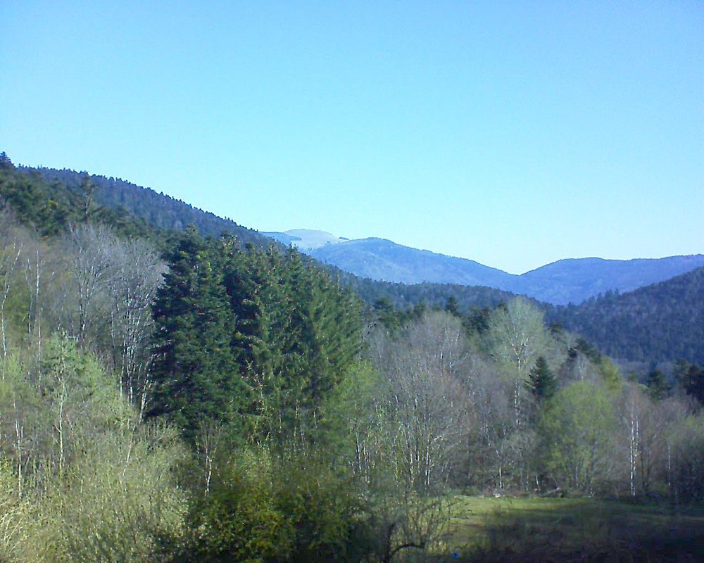Le petit ballon vu depuis le Domaine Langmatt à Murbach le 25.04.2021 à 09:30 Le petit ballon (Alsace, Vosges) le 25.04.2021 à 09:30