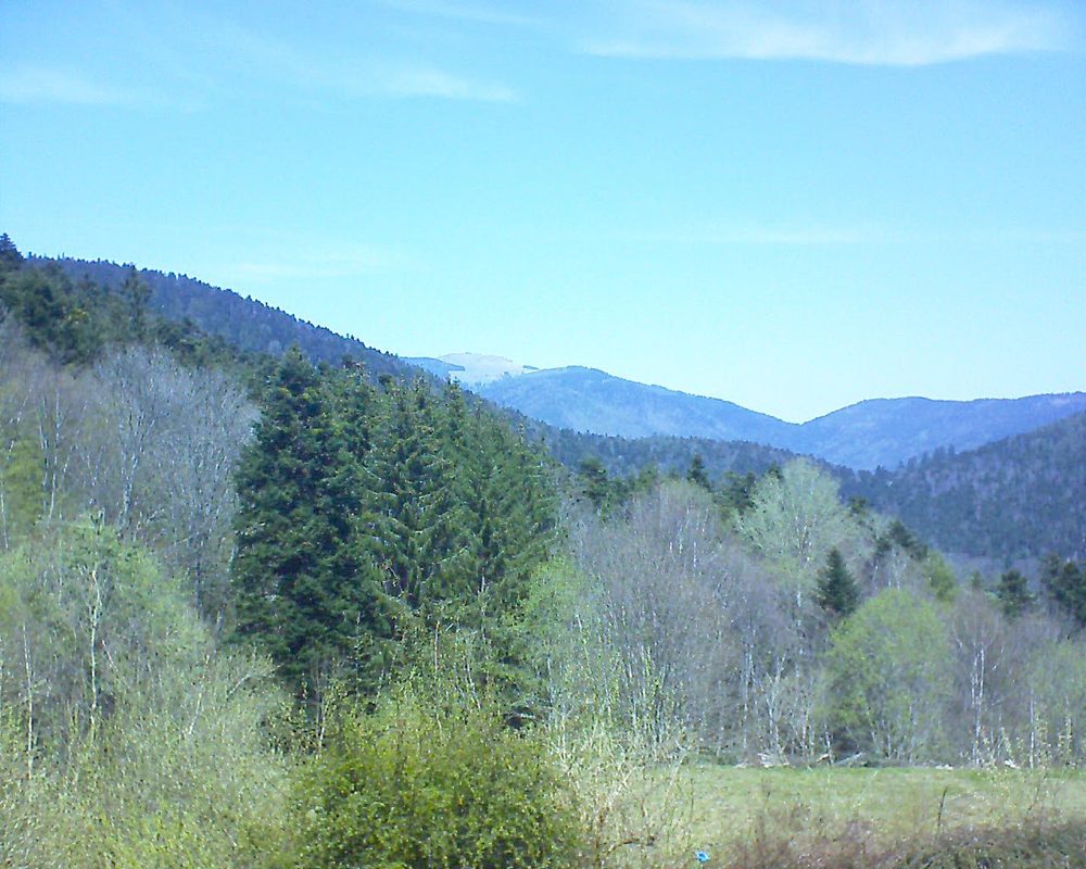 Le petit ballon vu depuis le Domaine Langmatt à Murbach le 26.04.2021 à 13:15 Le petit ballon (Alsace, Vosges) le 26.04.2021 à 13:15
