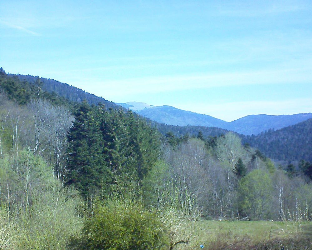 Le petit ballon vu depuis le Domaine Langmatt à Murbach le 27.04.2021 à 10:15 Le petit ballon (Alsace, Vosges) le 27.04.2021 à 10:15