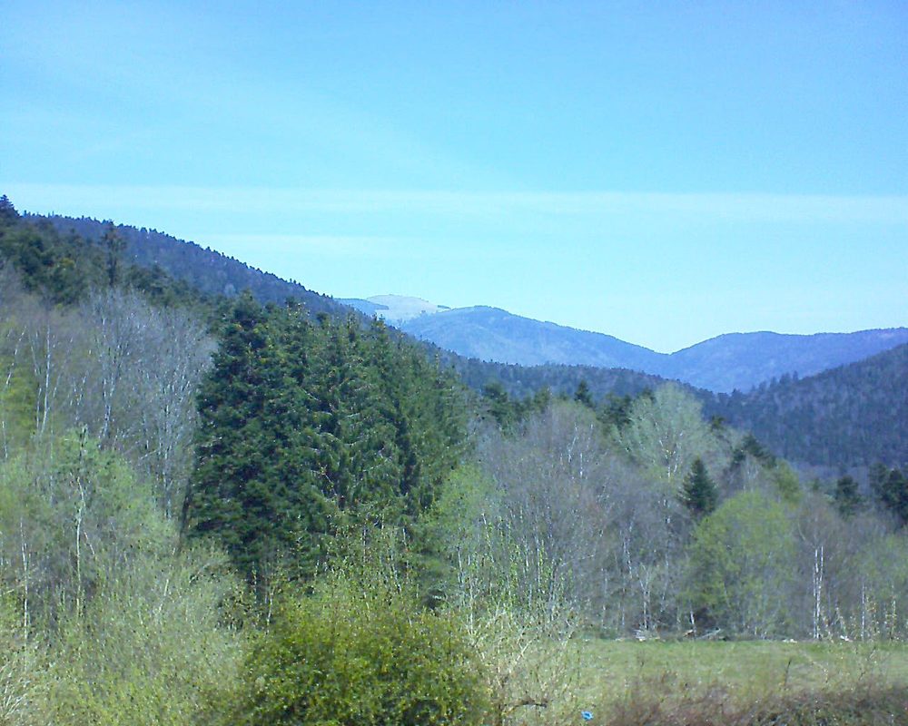 Le petit ballon vu depuis le Domaine Langmatt à Murbach le 27.04.2021 à 12:15 Le petit ballon (Alsace, Vosges) le 27.04.2021 à 12:15
