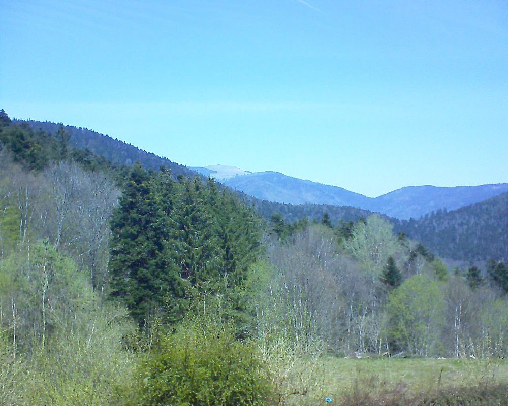 Le petit ballon vu depuis le Domaine Langmatt à Murbach le 27.04.2021 à 13:00 Le petit ballon (Alsace, Vosges) le 27.04.2021 à 13:00