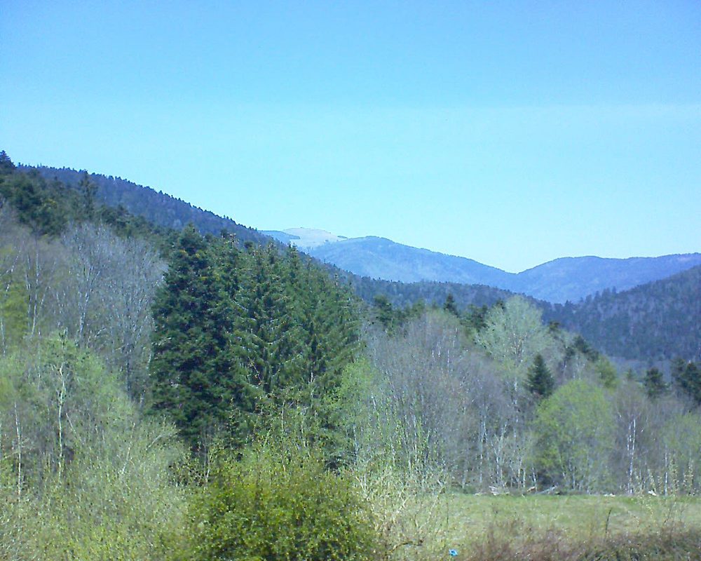 Le petit ballon vu depuis le Domaine Langmatt à Murbach le 27.04.2021 à 13:15 Le petit ballon (Alsace, Vosges) le 27.04.2021 à 13:15