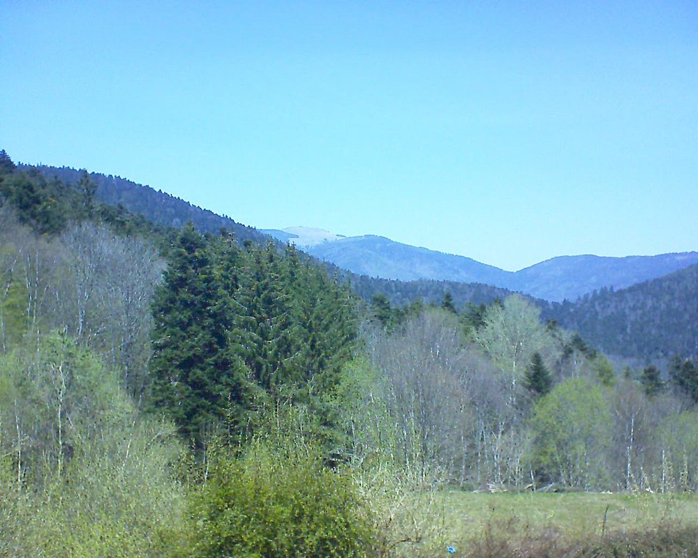 Le petit ballon vu depuis le Domaine Langmatt à Murbach le 27.04.2021 à 13:30 Le petit ballon (Alsace, Vosges) le 27.04.2021 à 13:30