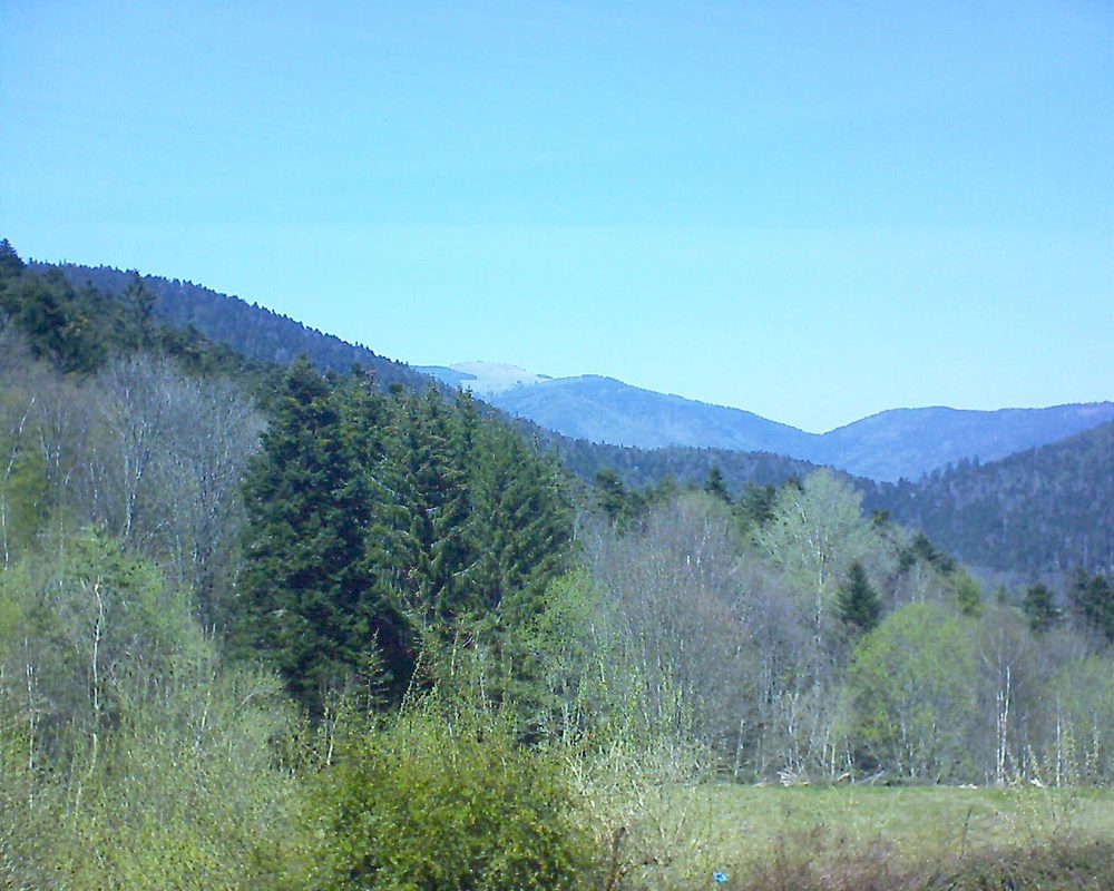 Le petit ballon vu depuis le Domaine Langmatt à Murbach le 27.04.2021 à 14:15 Le petit ballon (Alsace, Vosges) le 27.04.2021 à 14:15