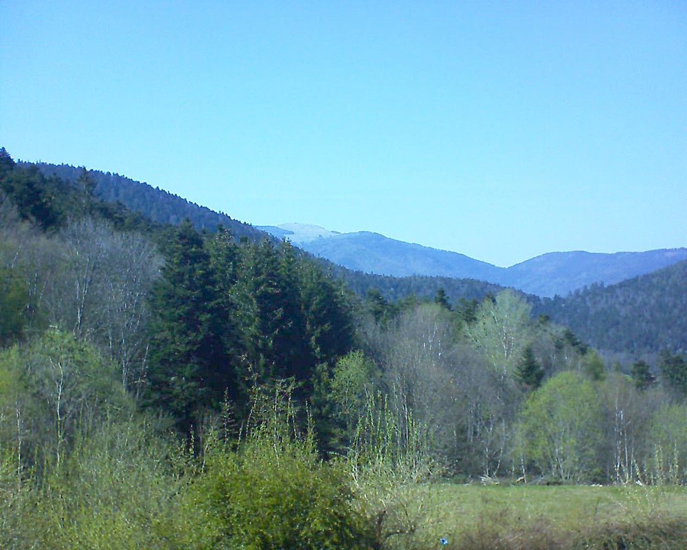 Le petit ballon vu depuis le Domaine Langmatt à Murbach le 27.04.2021 à 16:15 Le petit ballon (Alsace, Vosges) le 27.04.2021 à 16:15