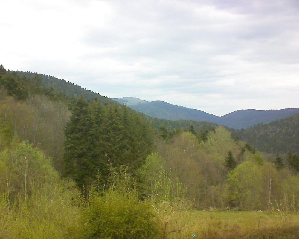 Le petit ballon vu depuis le Domaine Langmatt à Murbach le 28.04.2021 à 13:15 Le petit ballon (Alsace, Vosges) le 28.04.2021 à 13:15