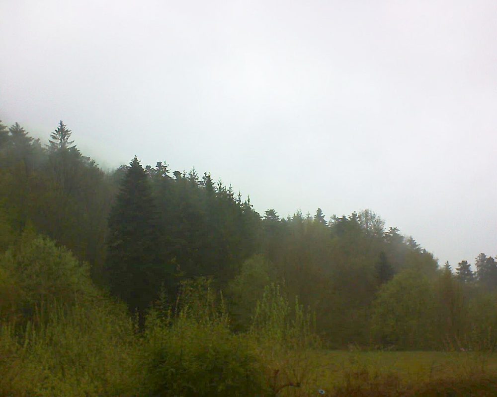 Le petit ballon vu depuis le Domaine Langmatt à Murbach le 30.04.2021 à 13:15 Le petit ballon (Alsace, Vosges) le 30.04.2021 à 13:15