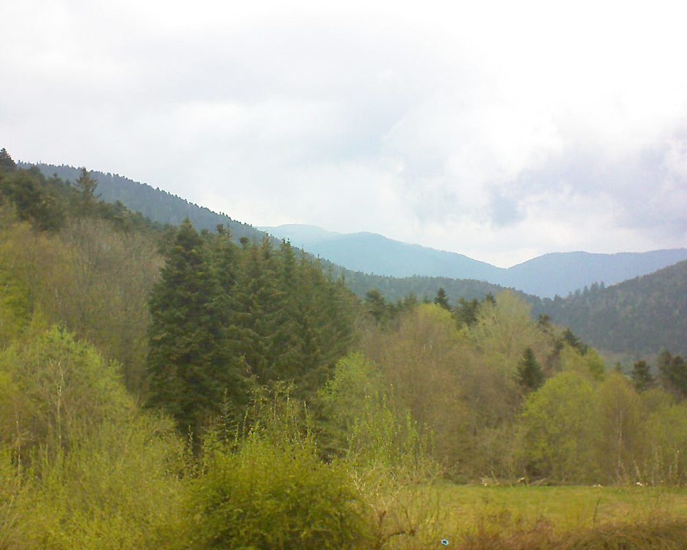 Le petit ballon vu depuis le Domaine Langmatt à Murbach le 02.05.2021 à 13:15 Le petit ballon (Alsace, Vosges) le 02.05.2021 à 13:15