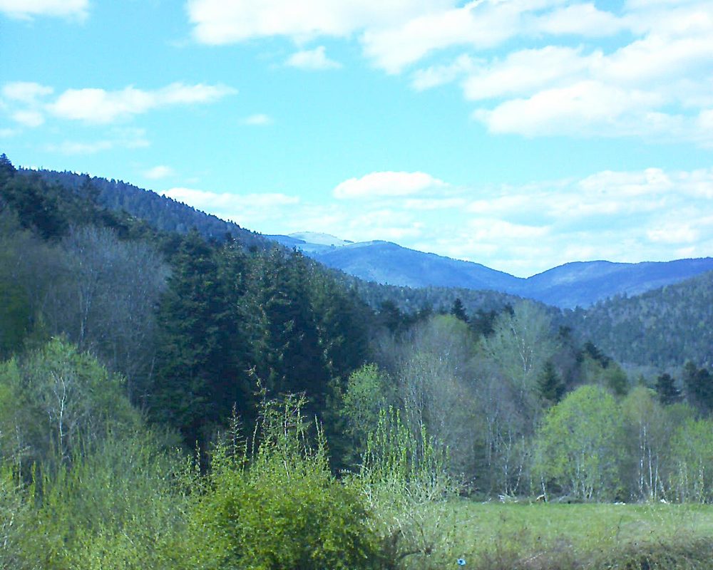 Le petit ballon vu depuis le Domaine Langmatt à Murbach le 03.05.2021 à 16:15 Le petit ballon (Alsace, Vosges) le 03.05.2021 à 16:15