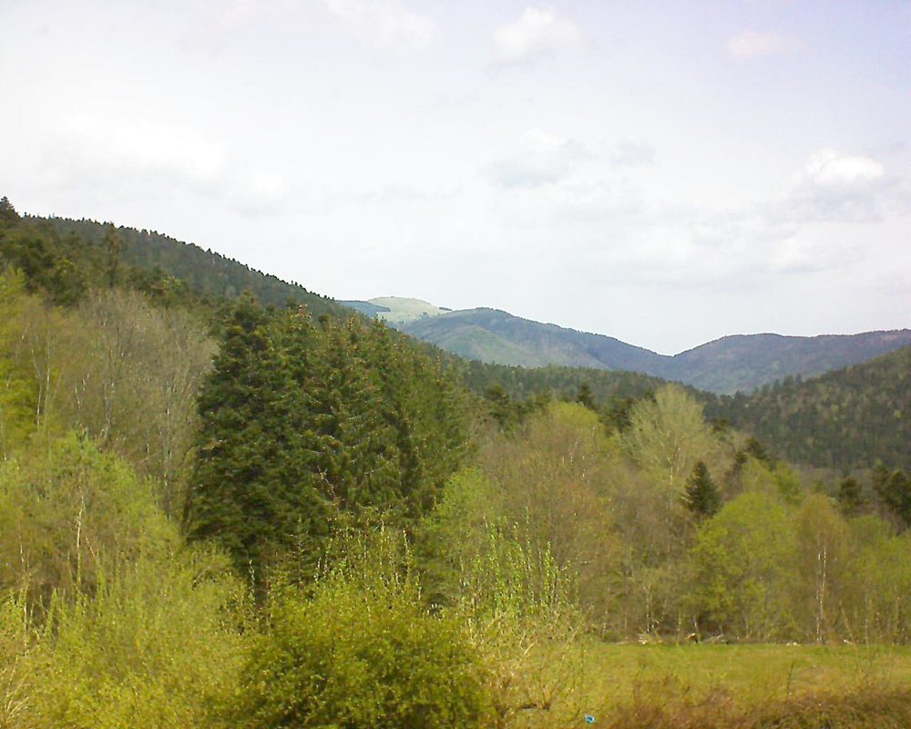 Le petit ballon vu depuis le Domaine Langmatt à Murbach le 04.05.2021 à 12:00 Le petit ballon (Alsace, Vosges) le 04.05.2021 à 12:00