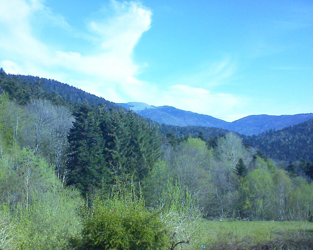 Le petit ballon vu depuis le Domaine Langmatt à Murbach le 08.05.2021 à 09:45 Le petit ballon (Alsace, Vosges) le 08.05.2021 à 09:45