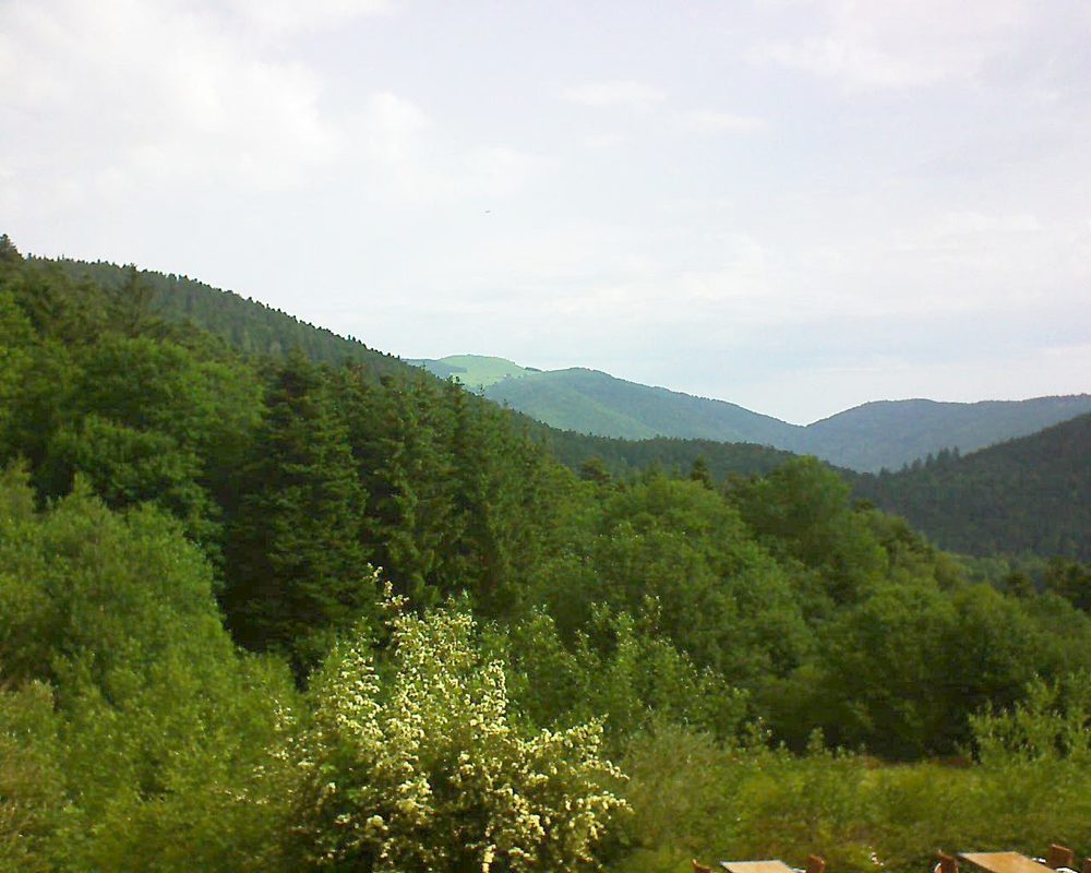 Le petit ballon vu depuis le Domaine Langmatt à Murbach le 18.06.2021 à 09:30 Le petit ballon (Alsace, Vosges) le 18.06.2021 à 09:30