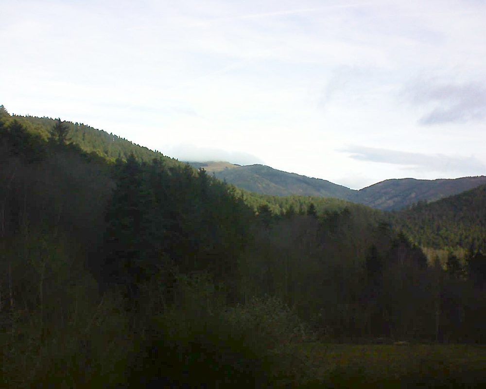 Le petit ballon (Alsace, Vosges) le 30.12.2021 à 10:15