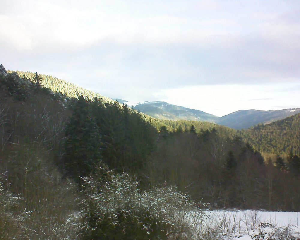 Le petit ballon vu depuis le Domaine Langmatt à Murbach le 11.01.2022 à 09:30 Le petit ballon (Alsace, Vosges) le 11.01.2022 à 09:30