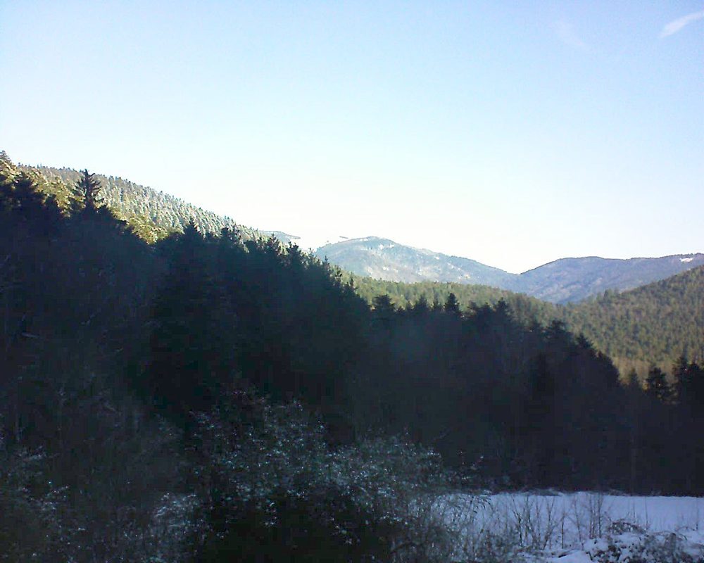 Le petit ballon (Alsace, Vosges) le 12.01.2022 à 10:30