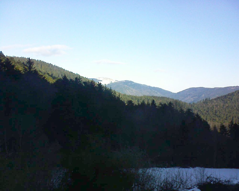 Le petit ballon (Alsace, Vosges) le 16.01.2022 à 10:30