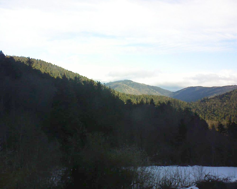 Le petit ballon (Alsace, Vosges) le 17.01.2022 à 09:30