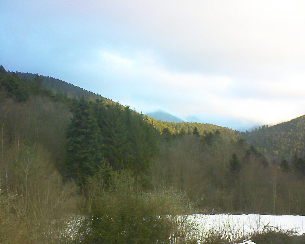 Le petit ballon (Alsace, Vosges) le 18.01.2022 à 08:30