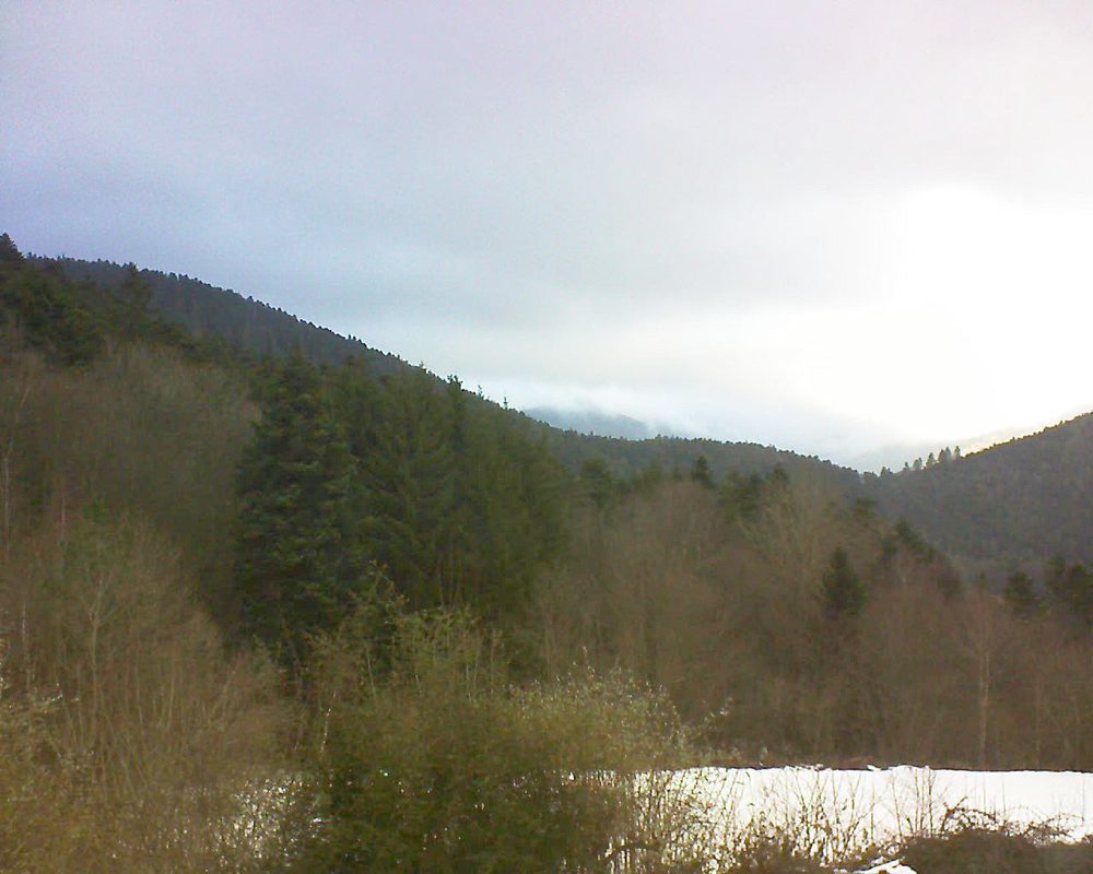 Le petit ballon (Alsace, Vosges) le 18.01.2022 à 09:15