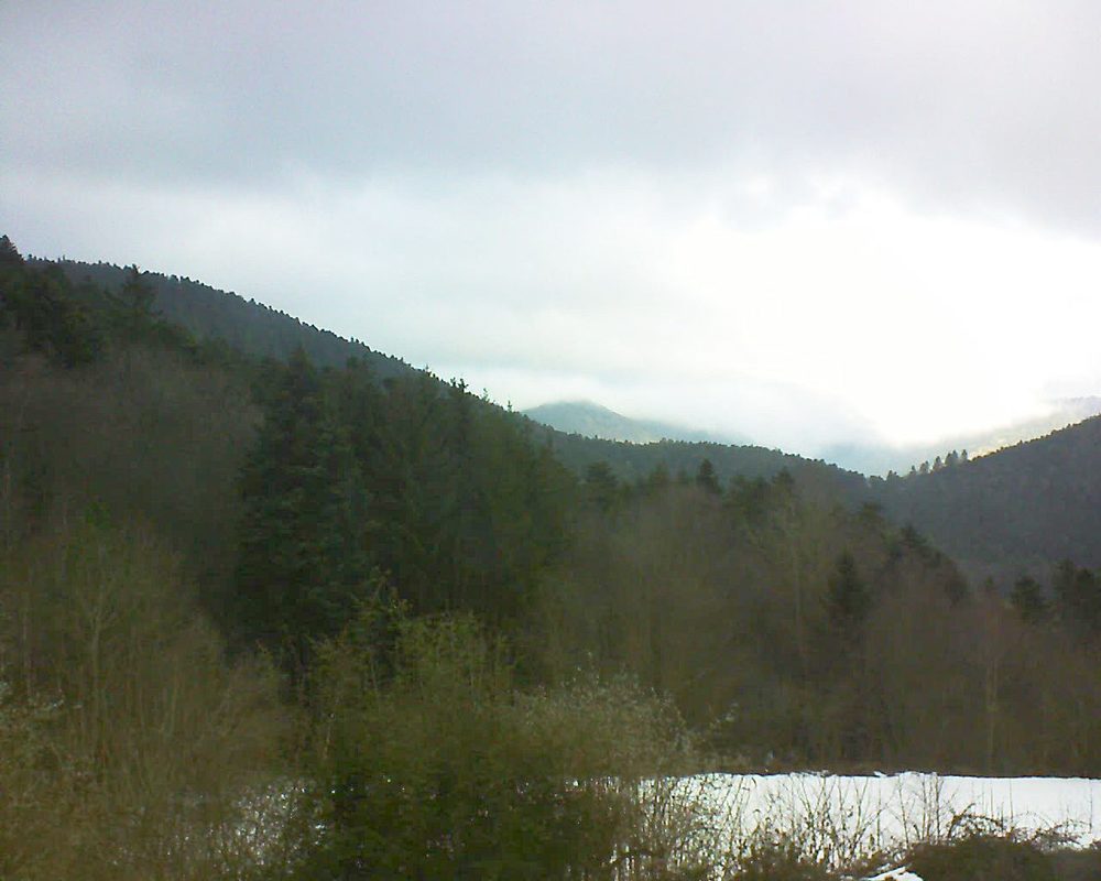 Le petit ballon (Alsace, Vosges) le 18.01.2022 à 09:30