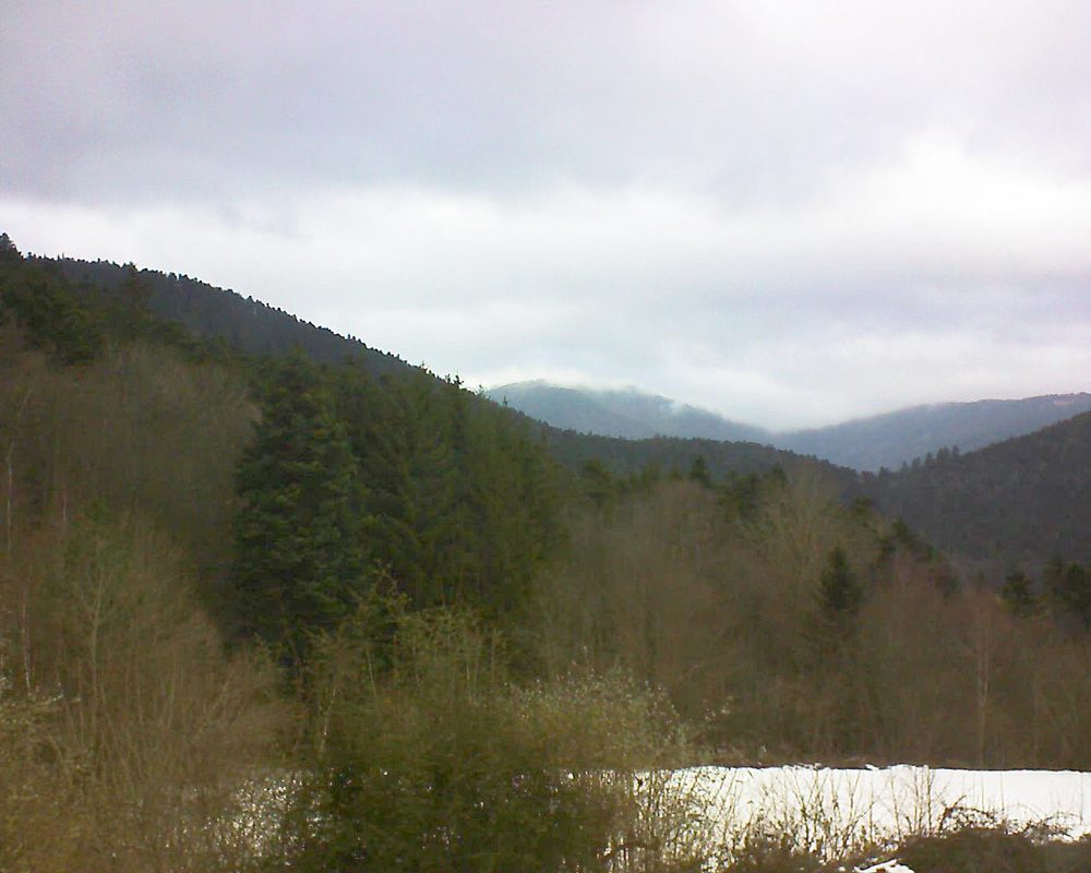 Le petit ballon (Alsace, Vosges) le 18.01.2022 à 12:30