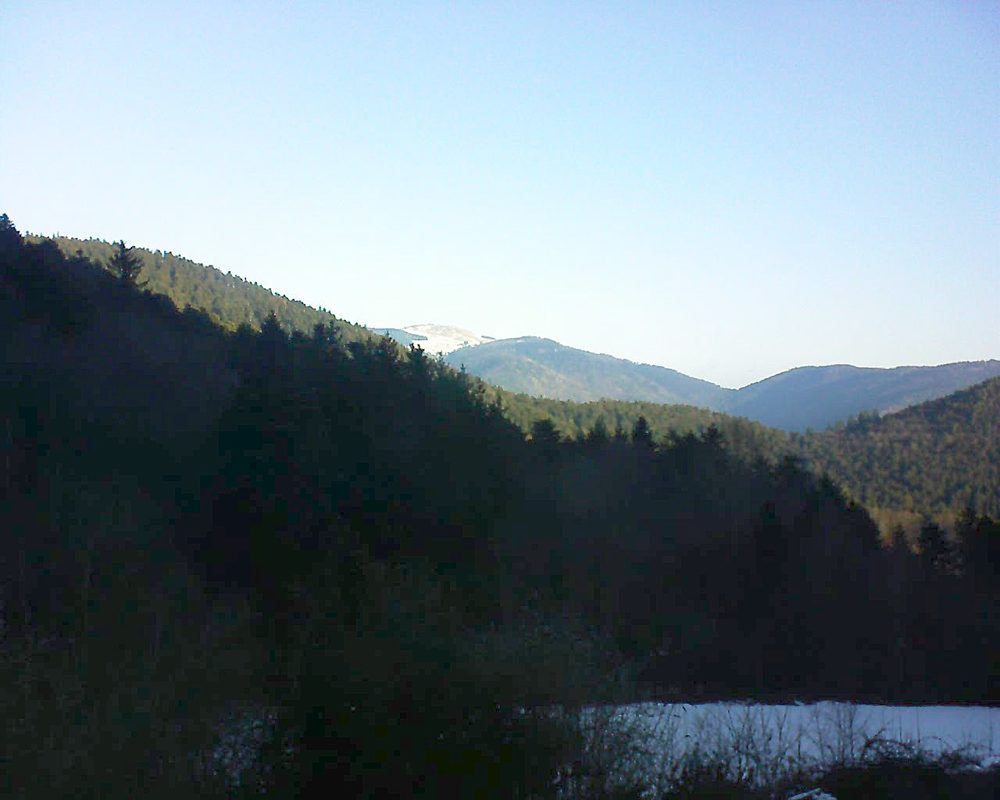 Le petit ballon (Alsace, Vosges) le 19.01.2022 à 09:30